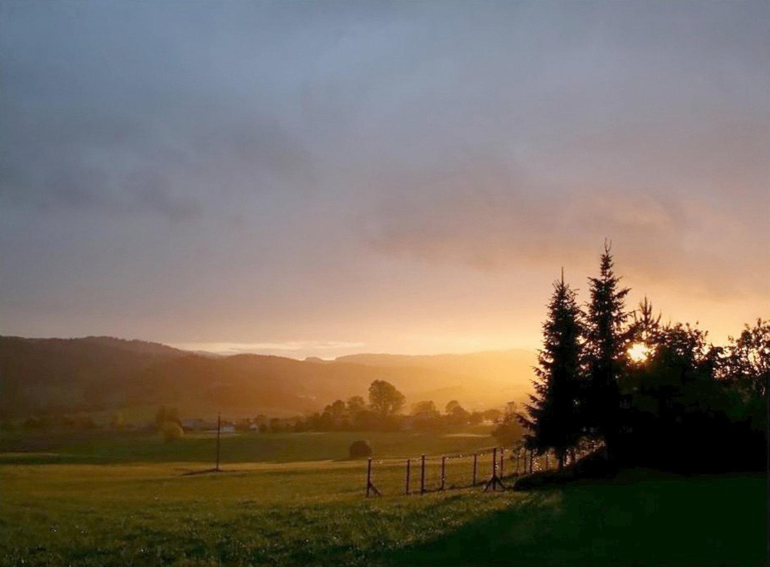Kucher'S Landhotel Darscheid Exteriör bild